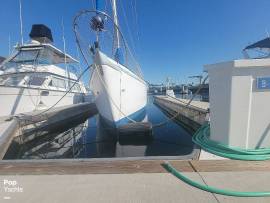 1974, Coronado, Coronado 41
