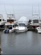 2005, Chaparral, 270 Signature