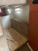 2005, Chaparral, 270 Signature