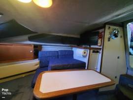 1991, Rinker, Fiesta Vee 250