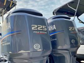 2006, Hydra-Sports, Vector 2500 CC