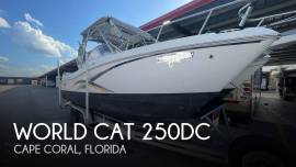 2006, World Cat, 250DC