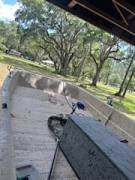 2002, Carolina Skiff, 238
