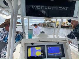 2008, World Cat, 270TE