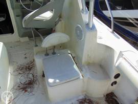 2007, Trophy, Pro 2502 WA