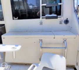 1982, Uniflite, 38 Sportfisher