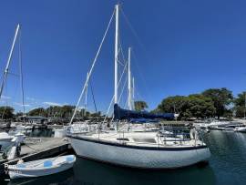 1979, Seidelmann, 299 Sloop