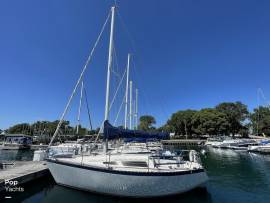 1979, Seidelmann, 299 Sloop