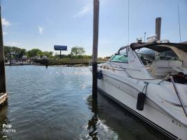 1995, Sea Ray, 370 Sundancer