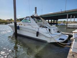 1995, Sea Ray, 370 Sundancer