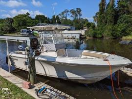 2019, Sailfish, 220 CC
