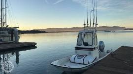 1980, Boston Whaler, Montauk 17
