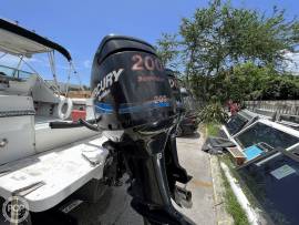 1988, Robalo, R2660
