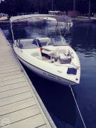 2004, Stingray, 190fx