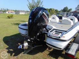 2019, Nitro, Z19 Sport