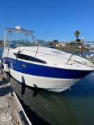 2006, Bayliner, 265