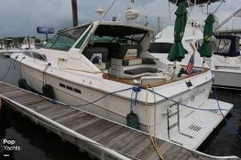 1989, Sea Ray, 390 Express Cruiser