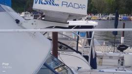 1979, Chris-Craft, 310 Catalina