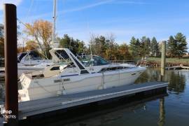 1987, Sea Ray, 300 Sundancer
