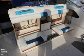 1987, Sea Ray, 300 Sundancer