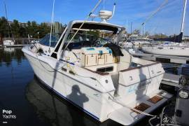 1987, Sea Ray, 300 Sundancer
