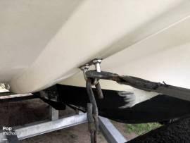 2014, Twin Vee, BAY CAT 19