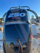 2014, Sea Ray, 220 SUNDECK