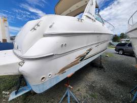 1999, Sea Ray, 310 Sundancer