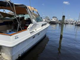 1989, Sea Ray, 340 Sundancer