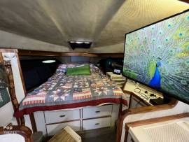 1989, Sea Ray, 340 Sundancer