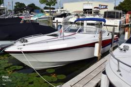 1994, Wellcraft, 23 Nova Spider