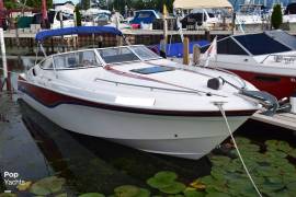 1994, Wellcraft, 23 Nova Spider