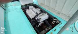 1980, Crusader, 34 Open