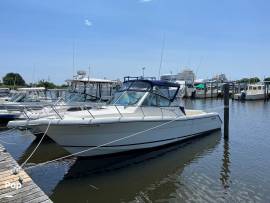 2001, Pursuit, Denali 2860