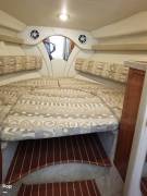 2005, Rinker, fiesta vee 270