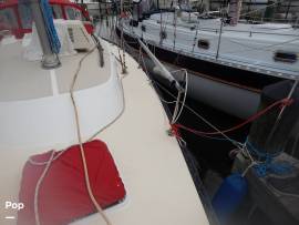 1981, Tartan, T33