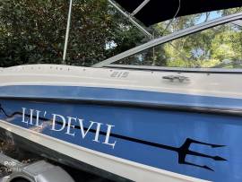 2013, Bayliner, 215 BR