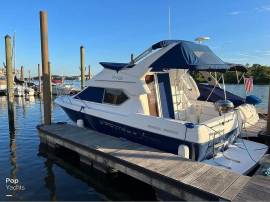 2007, Bayliner, Discovery 288