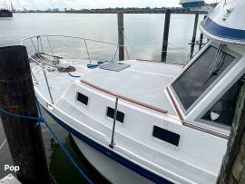 1989, Albin, 34 Bridgedeck