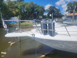 1990, Sea Ray, Sundancer 420