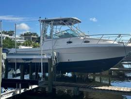 2015, Robalo, R305