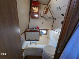 1987, Holiday Mansion, 38 Coastal Barracuda