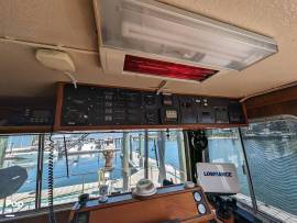 1987, Holiday Mansion, 38 Coastal Barracuda