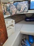 2005, Starcraft, Islander 221