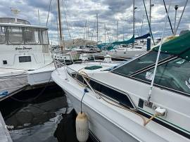 1988, Sea Ray, 270 Sundancer