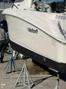 2006, Wellcraft, 252 Coastal