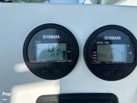 2016, Sea Fox, Viper 200