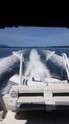 1988, Bayliner, Avanti 34