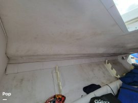 2000, Donzi, 35ZF