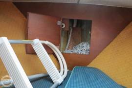 1967, Tollycraft, Express